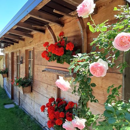 Appartamento Per Vacanze "Il Gelso" Rovereto  Zewnętrze zdjęcie